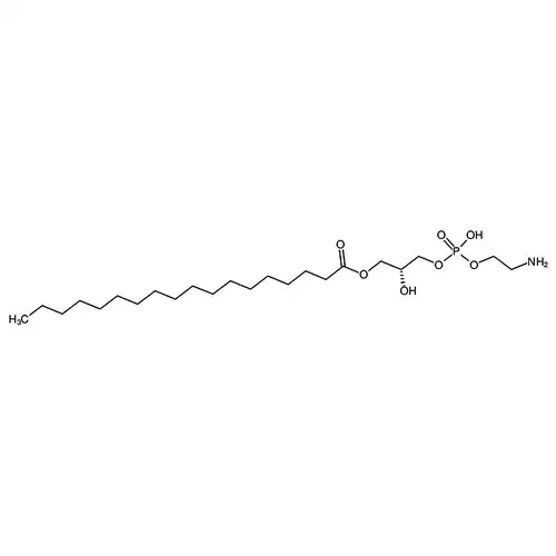1-Stearoyl-2-Hydroxy-sn-Glycero-3-Phosphoethanolamine