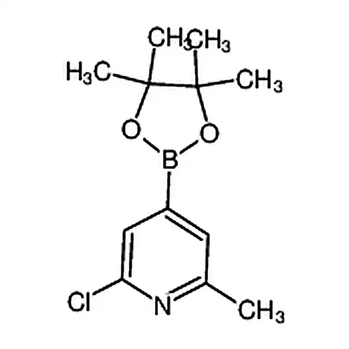 2-염소-6-메틸-4-(4,4,5,5-四메틸-1,3,2-二산소붕소杂环펜틸알칸-2-基)피리딘