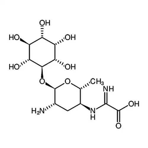 Kasugamycin