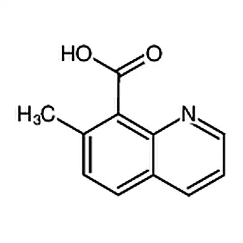 7-메틸퀴놀린-8-羧산