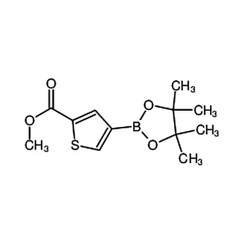 4-(4,4,5,5-四메틸-2-1,3,-二噁붕소알칸基)티오펜2-개미산메틸에스테르