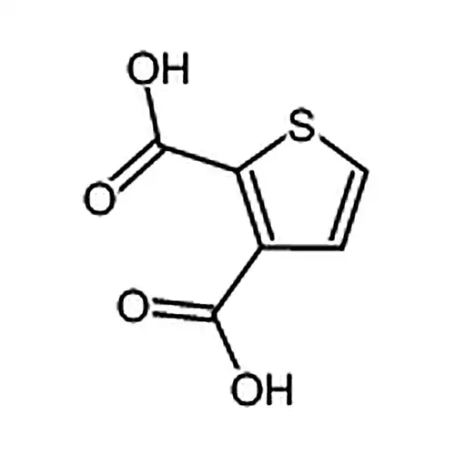 thiophene-2,3-dicarboxylic acid