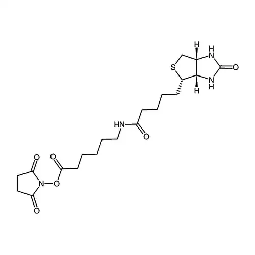 N-Succinimidyl 6-Biotinamidohexanoate