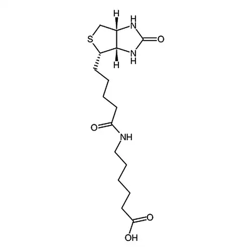 6-生物素аминогексилкислота