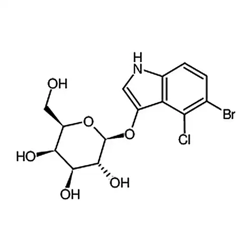 5-브롬-4-염소-3-인돌半乳糖苷