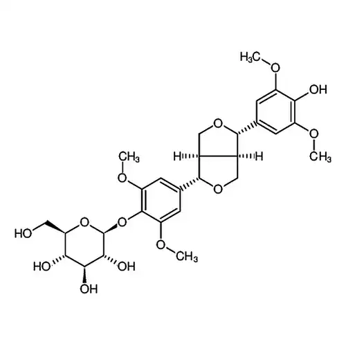 Acanthopanax senticosus P.E