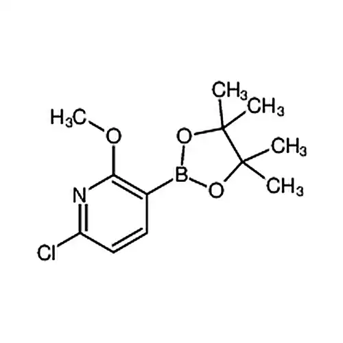 6-塩素-2-メチル酸素基-3-(4,4,5,5-四メチル-1,3,2-二酸素ホウ素杂环ペンチルアルカン-2-基)ピリジン