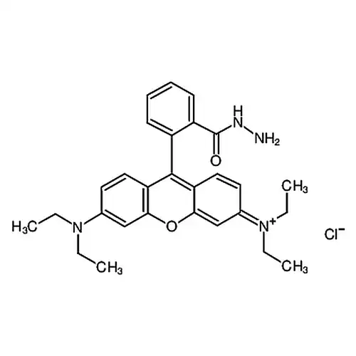 Rhodamine B hydrazide
