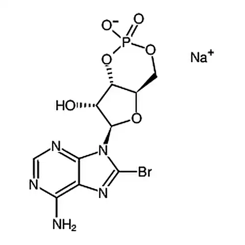 8-臭素腺苷-3,5-环单リン酸ナトリウム