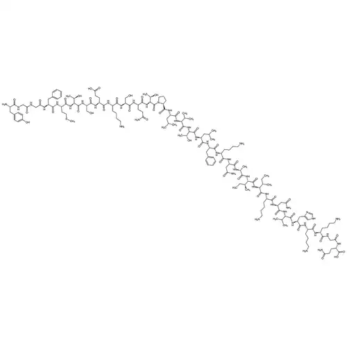 β-Endorphin, rat