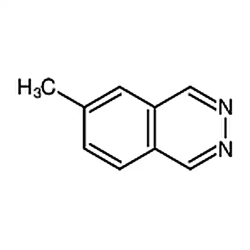 6-메틸酞嗪