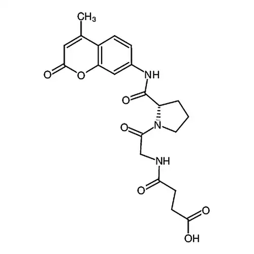 Suc–Gly–Pro–AMC