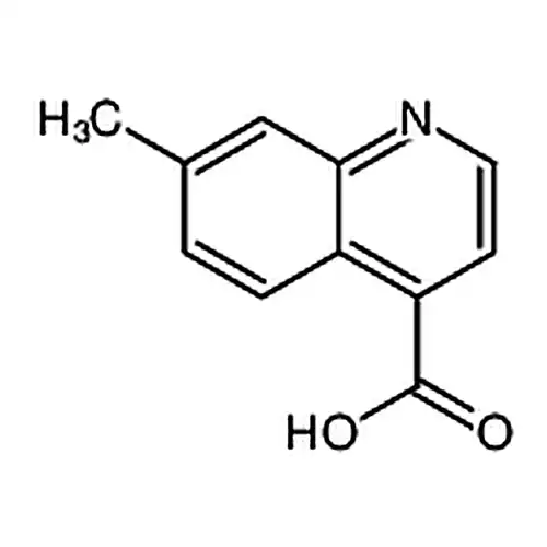 7-Methylquinoline-4-carboxylic acid