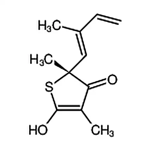Thiolactomycin
