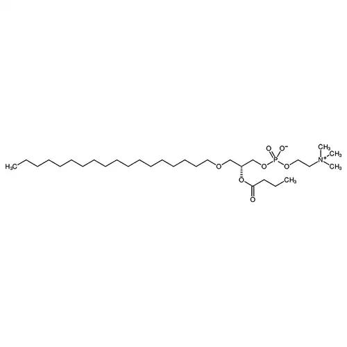 1-0-octadecyl-2-butyryl-sn-glycero-3-phosphocholine
