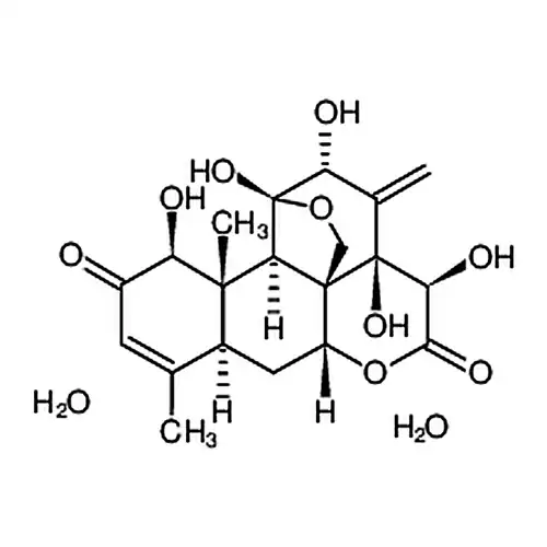 宽缨케톤