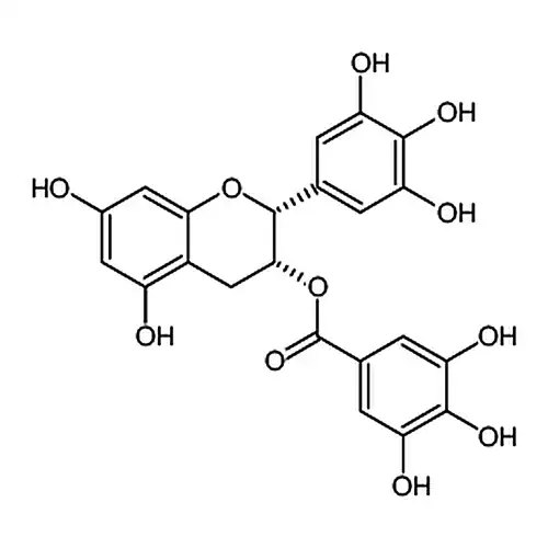 茶多페놀