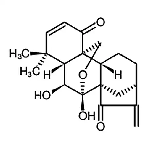 毛萼エチル素
