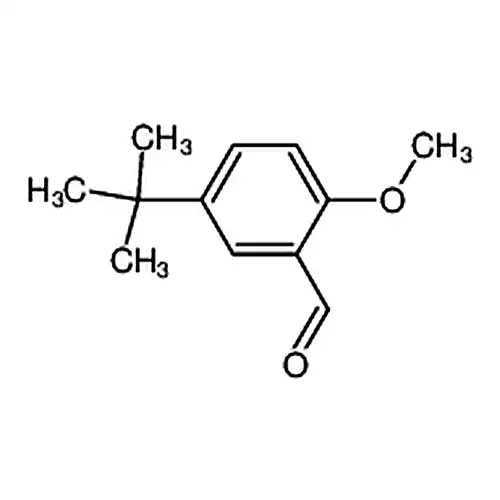 5-tert-ブチル-2-メチル酸素基ベンゼンホルムアルデヒド