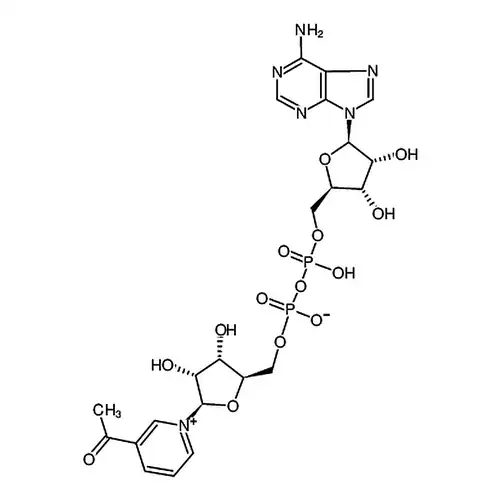 3-Acetylpyridine adenine dinucleotide