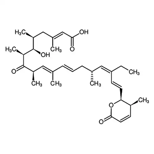 Leptomycin B