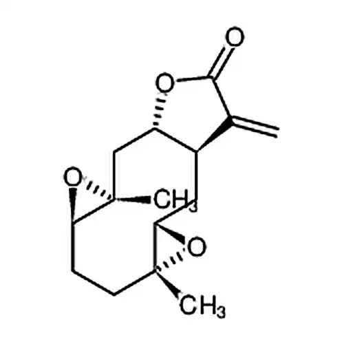 11(13)去水素腋生依瓦菊素