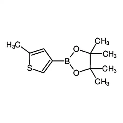 4，4，5，5-Tetramethyl-2-(5-methylthiophen-3-yl)-1，3，2-dioxaborolane