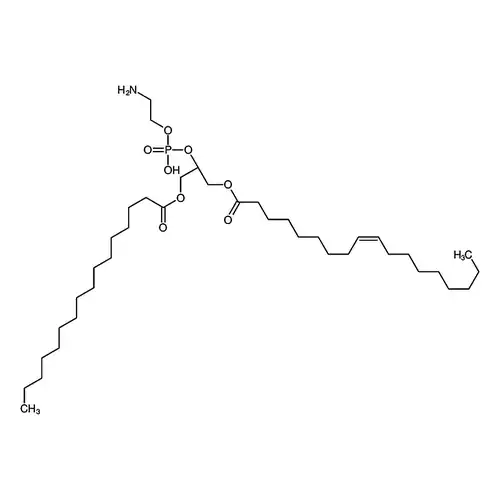 1-Palmitoyl-3-oleoyl-sn-glycero-2-PE