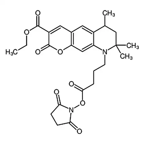 Atto 425-NHSエステル
