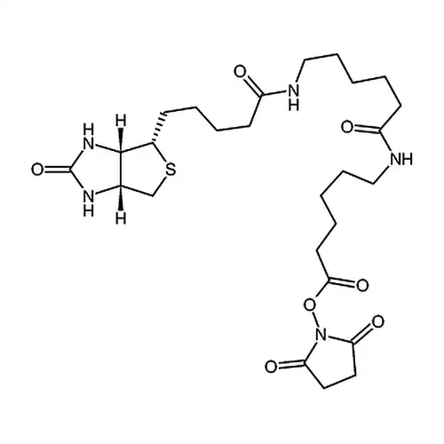 N -[6-(生物素アミノ)ヘキシル酰基]-6-アミノヘキシル酸N-琥珀酰亚アミンエステル