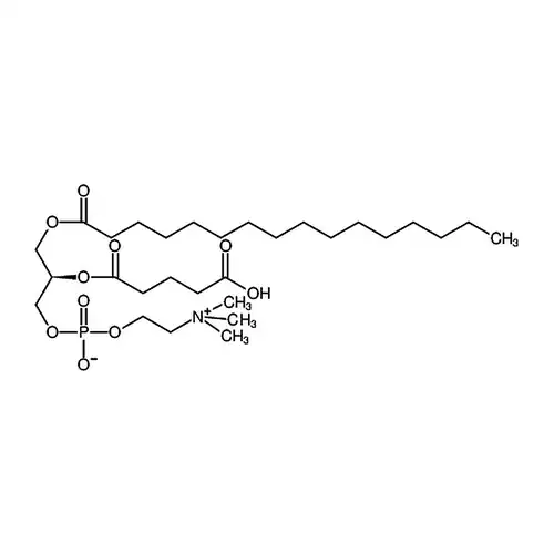 1-palmitoyl-2-glutaryl-sn-glycero-3-phosphocholine