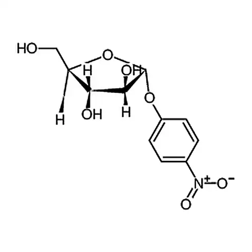 β-ブドウ糖苷酶