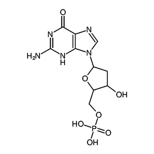 2'-deoxyguanosine 5'-monophosphate