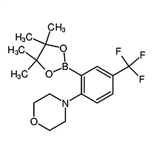 2-Morpholino-5-trifluoromethylphenylboronic acid pinacol ester