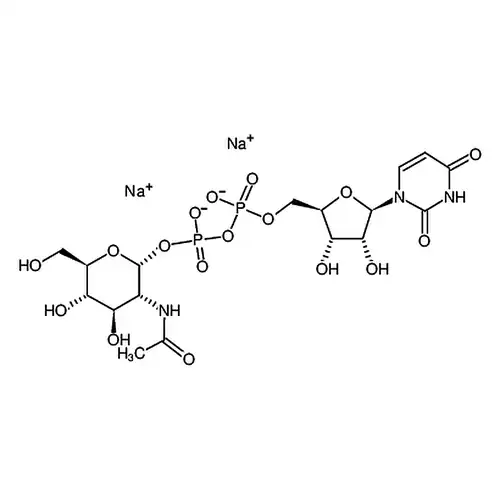 尿苷-5′-二リン酸-N-アセチル-葡糖アミンナトリウム塩