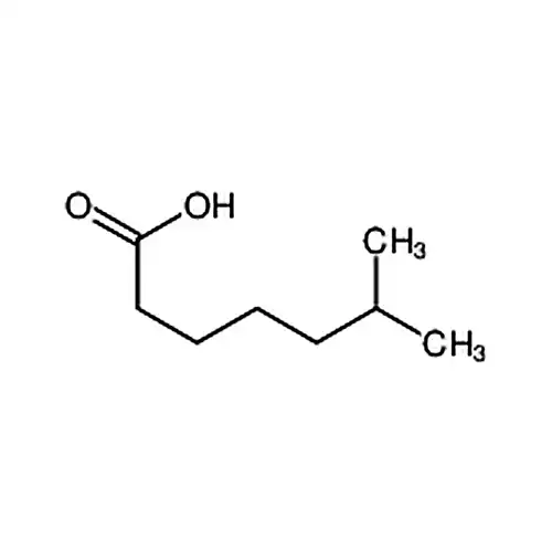 6-Methylheptanoic acid
