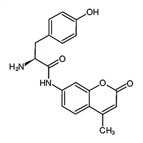 1-酪氨酸7-酰アミノ-4-メチル香豆素