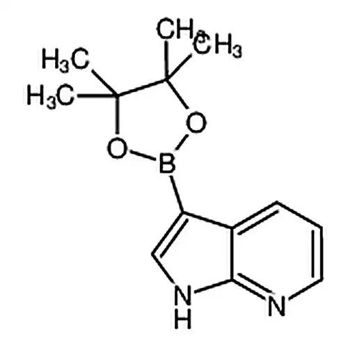 7-азота杂индол-3-борная кислота频哪спиртэфир