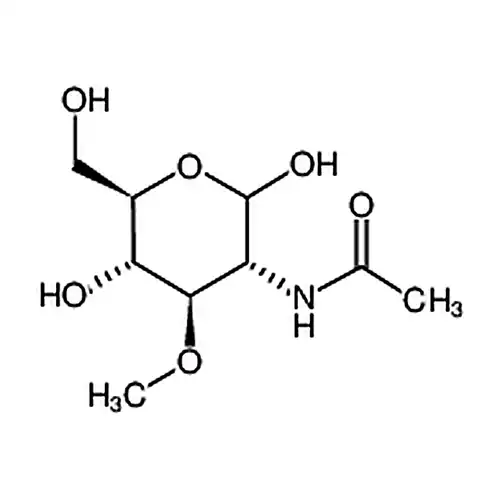 3-O-methyl-N-acetyl-D-Glucosamine (3-O-methyl-GlcNAc)