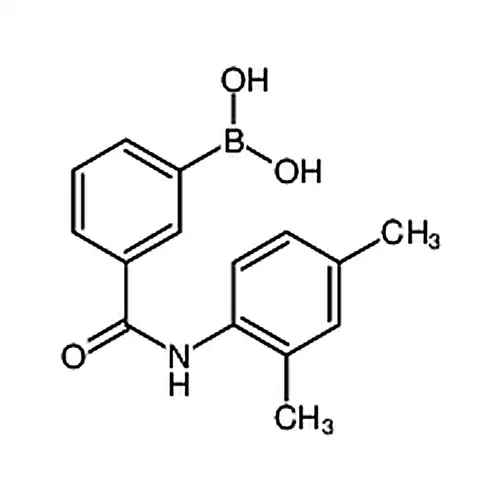 (3-((2，4-Dimethylphenyl)carbamoyl)phenyl)boronic acid